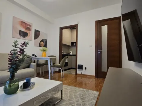 Izdavanje, jednosoban stan, 37m², Gorica C, Podgorica - image 9