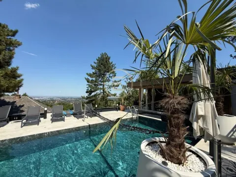 Prodaja, kuća, 318m², Sremska Kamenica, Petrovaradin - image 25