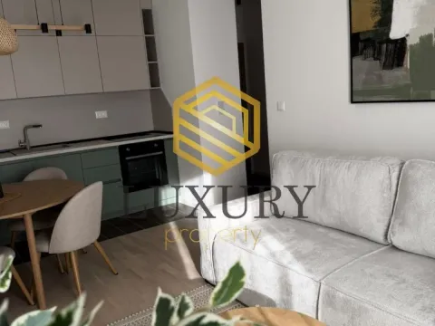 Rent, one bedroom apartment, 37m², Tološi, Podgorica - image 10