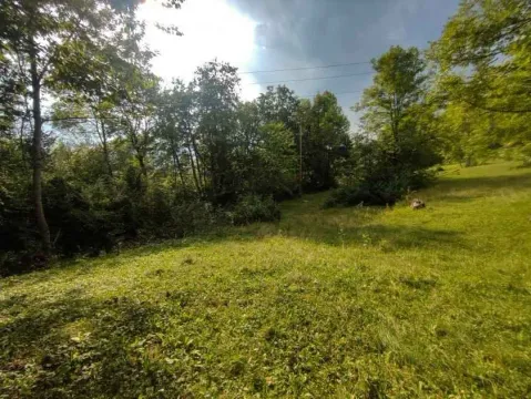 Zelena površina sa drvećem i rastinjem. - image 2