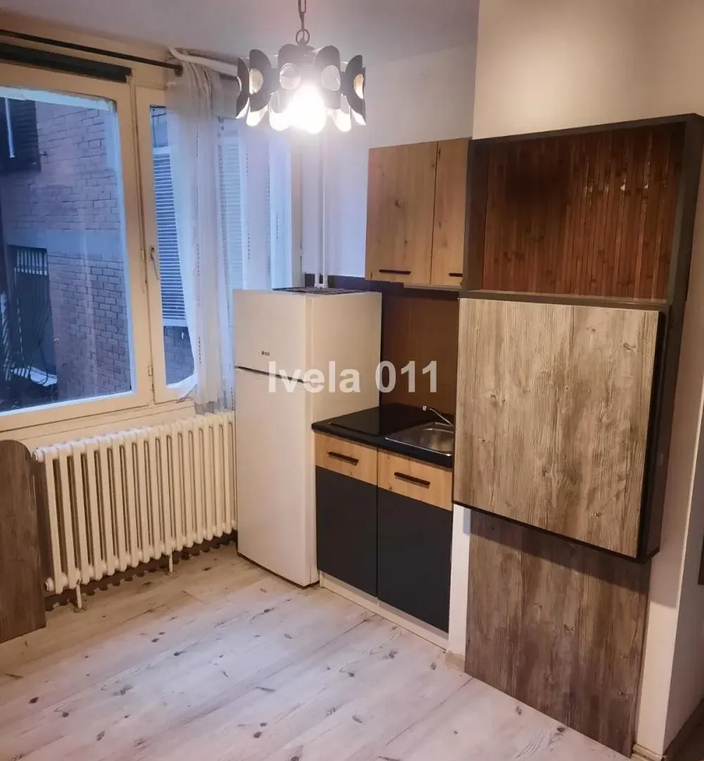 Izdavanje, stan, 16m², Stari Košutnjak, Rakovica