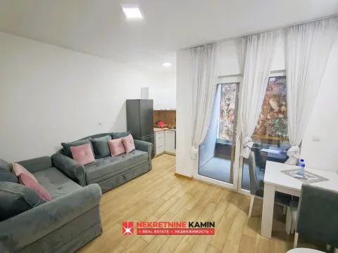 Prodaja, garsonjera, 30m², Golubovina, Budva - image 2