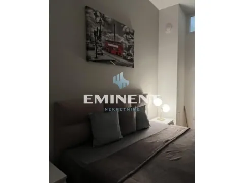 Rent, two bedroom apartment, 52m², Vračar Hram, Vračar Sve Podlokacije - image 8