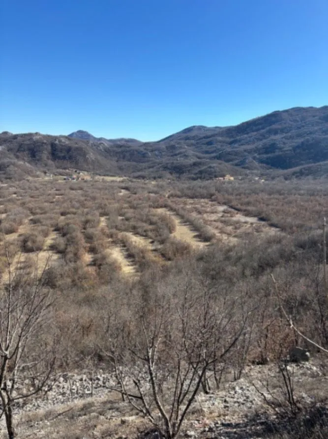 Prodaja, plac, 136000m², Grahovo, Nikšić