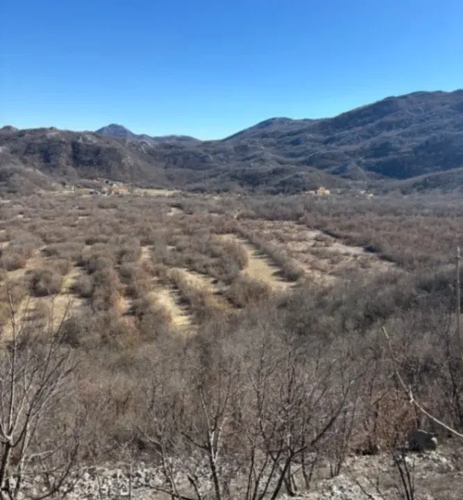 Sale, land lot, 136000m², Grahovo, Nikšić