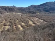 Sale, land lot, 136000m², Grahovo, Nikšić - image 1