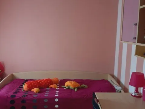 Izdavanje, kuća, 300m², Burtaiši, Bar - image 6