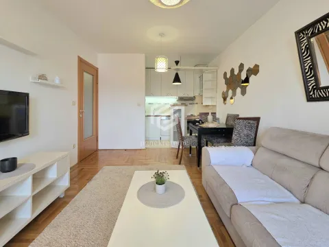 Izdavanje, jednosoban stan, 45m², Stari Aerodrom, Podgorica - image 5