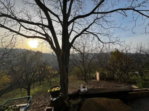 Prodaja, kuća, 139m², Petrovaradin, Novi Sad - image 35