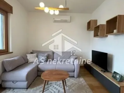 Izdavanje, dvosoban stan, 55m², Južni Bulevar, Vračar Sve Podlokacije - image 2