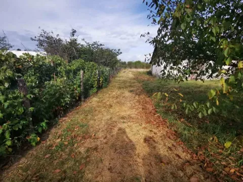 Sale, house, 65m², Kovačevac, Jagodina - image 16