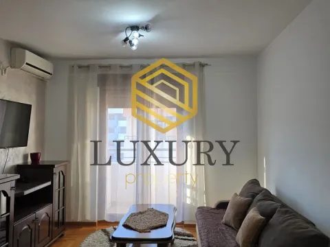 Izdavanje, jednosoban stan, 42m², Stari Aerodrom, Podgorica - image 3