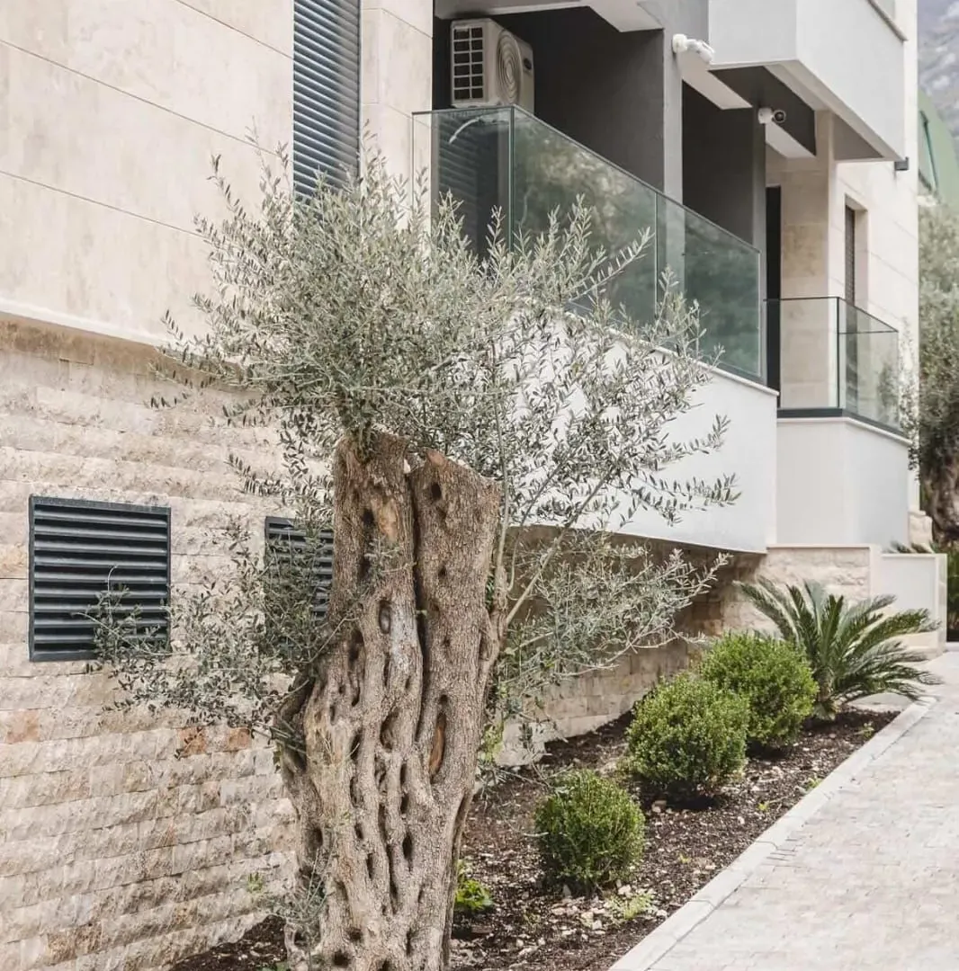 Rent, one bedroom apartment, 39m², Bečići, Budva