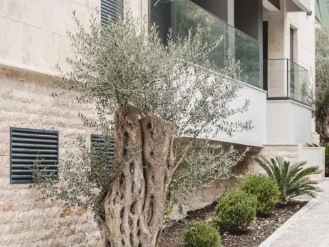Rent, one bedroom apartment, 39m², Bečići, Budva - image 17