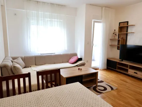 Izdavanje, jednosoban stan, 49m², Zabjelo, Podgorica - image 2