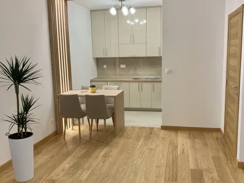 Izdavanje, jednosoban stan, 48m², New City, Podgorica - image 5