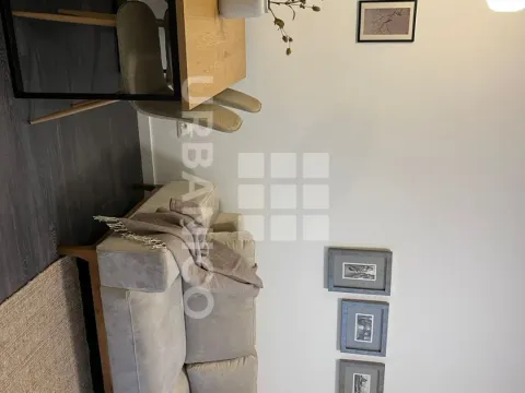 Rent, one bedroom apartment, 34m², Zabjelo, Podgorica - image 1