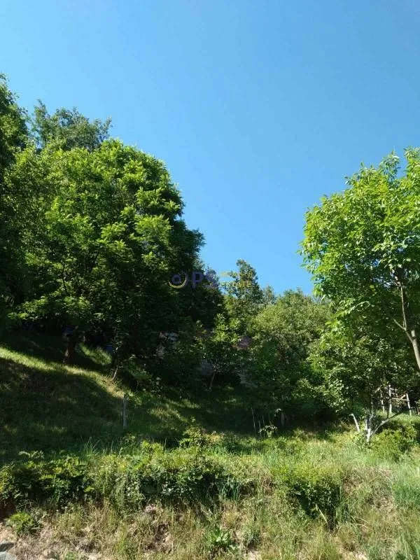 Prodaja, kuća, 120m², Mojkovac, Crna Gora