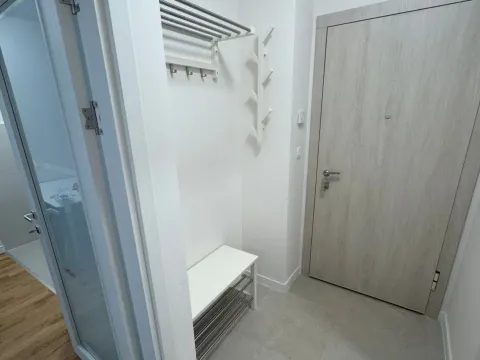 Rent, one bedroom apartment, 40m², Zabjelo, Podgorica - image 5