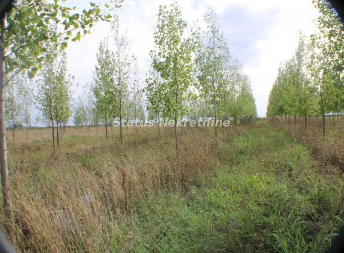 Prodaja, plac, 1378m², Zrenjanin, Srbija