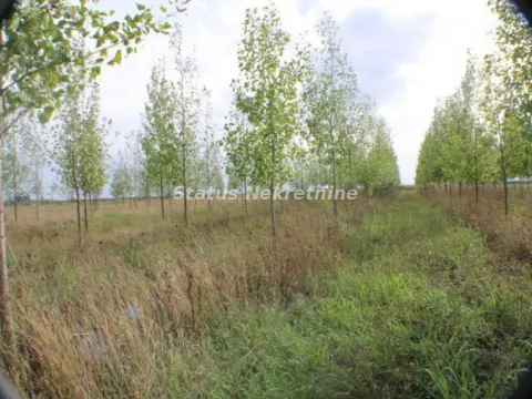 Prodaja, plac, 1378m², Zrenjanin, Srbija - image 30