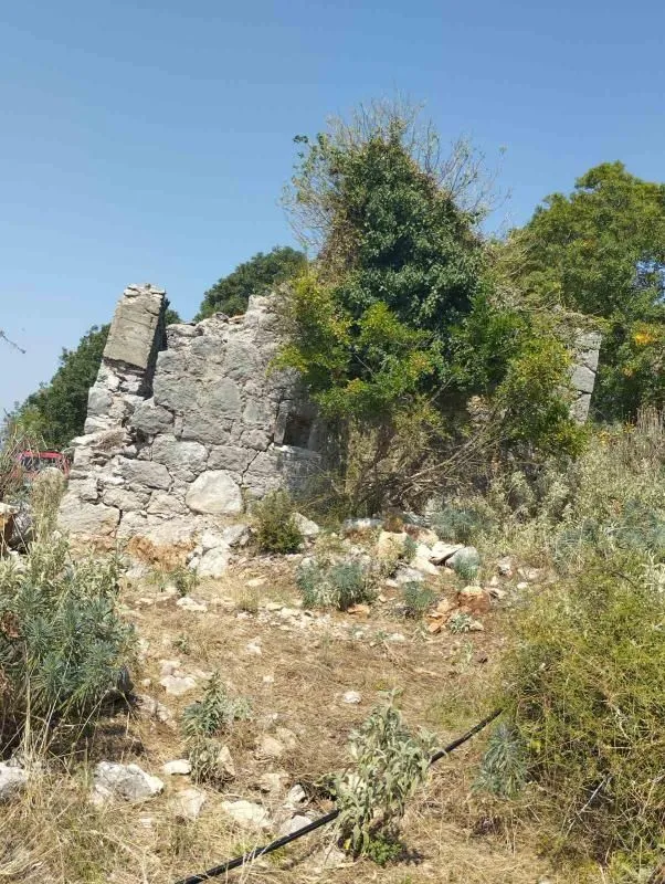 Sale, land lot, 3000m², Zaljevo, Bar