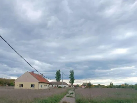 Sale, land lot, 70834m², Sombor, Srbija - image 2