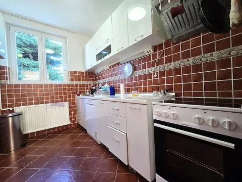 Rent, house, 390m², Zagorič, Podgorica - image 8