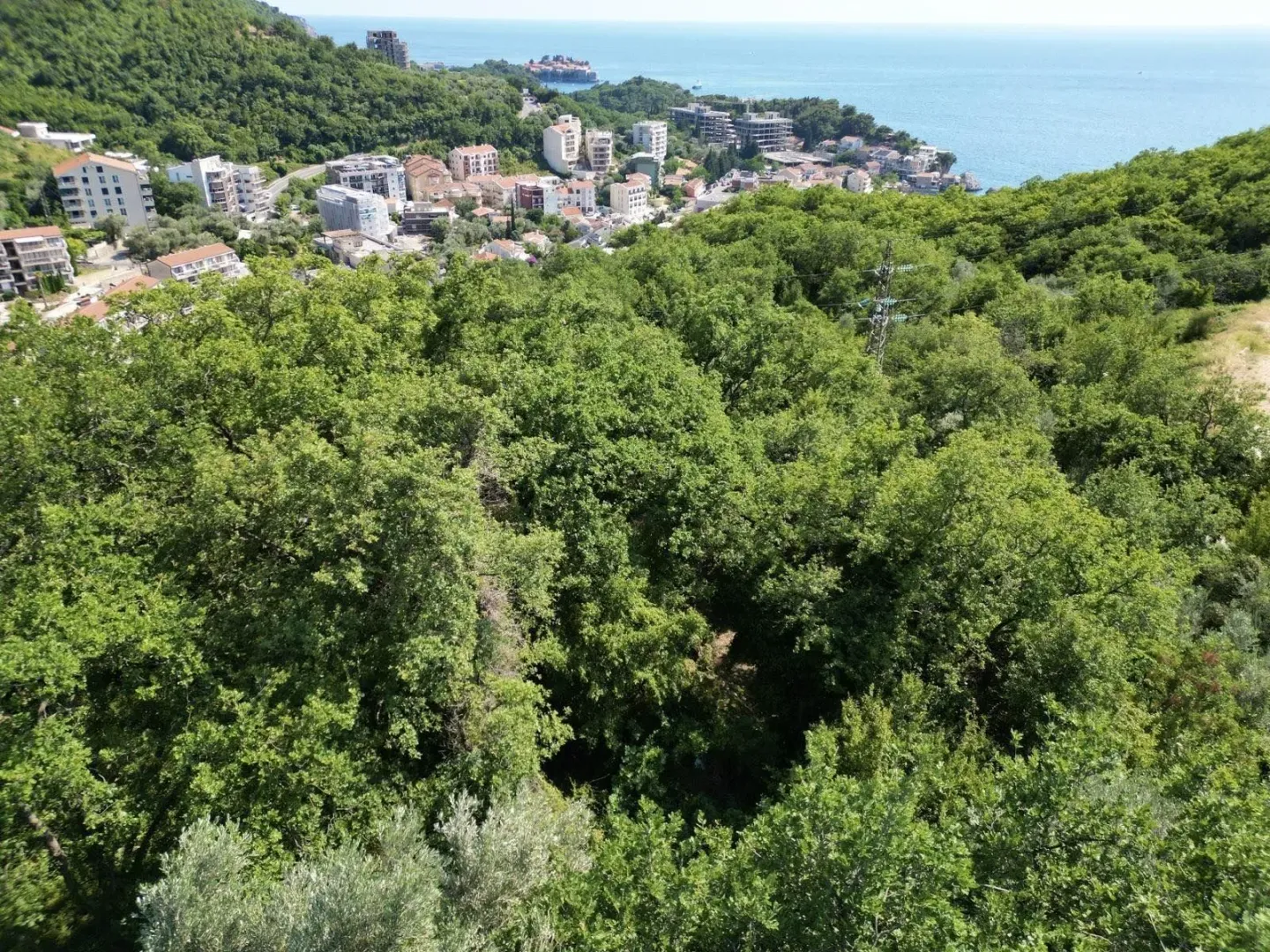 Pogled sa visine na šumoviti brijeg i more u daljini.