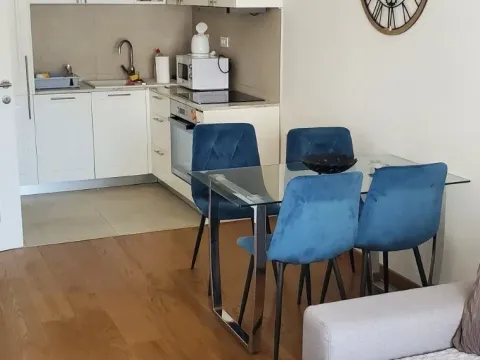 Rent, one bedroom apartment, 48m², Tološka šuma, Podgorica - image 3