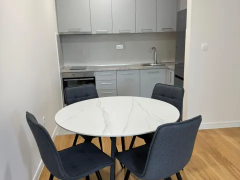 Rent, one bedroom apartment, 49m², Central Point, Podgorica - image 4
