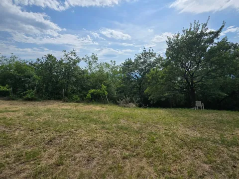Prodaja, plac, 8000m², Piperi, Podgorica - image 6