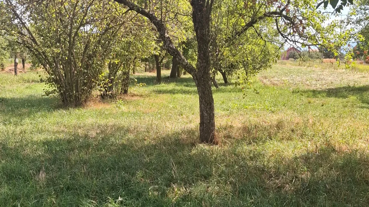 Prodaja, plac, 1571m², Miločani, Nikšić