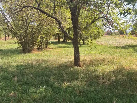 Zemljište in Miločani