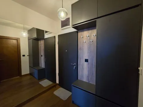 Izdavanje, jednosoban stan, 48m², Ljubović, Podgorica - image 3