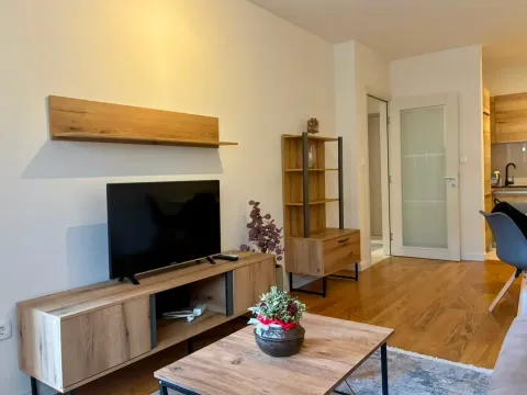 Prodaja, jednosoban stan, 46m², Central Point, Podgorica - image 5