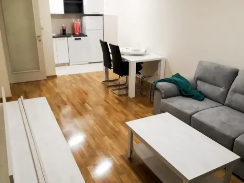 Izdavanje, jednosoban stan, 44m², Zagorič, Podgorica - image 4