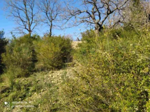 Prodaja, plac, 9890m², Zaljevo, Bar - image 8