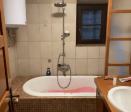 Izdavanje, kuća, 300m², Budva, Crna Gora - image 4