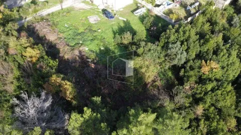 Prodaja, plac, 1024m², Tivat, Crna Gora - image 4