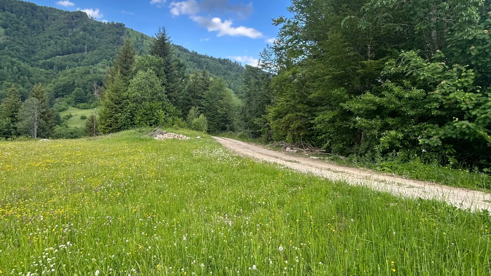 Prodaja, plac, 62500m², Bare, Kolašin