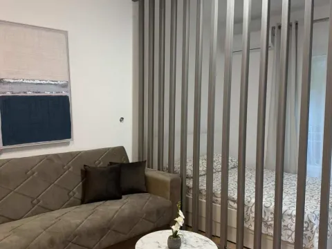 Rent, studio apartment, 37m², Malo Brdo, Podgorica - image 1