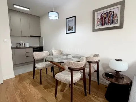 Izdavanje, jednosoban stan, 47m², Central Point, Podgorica - image 4