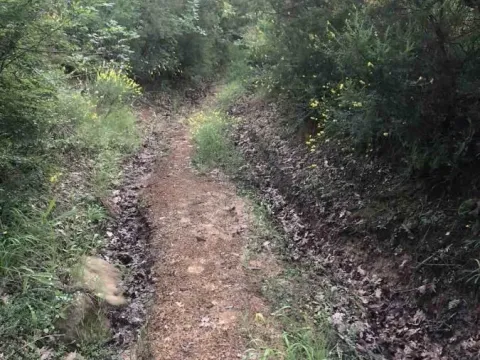 Sale, land lot, 18900m², Velja Gorana, Bar - image 13