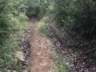 Prodaja, plac, 18900m², Velja Gorana, Bar - image 13