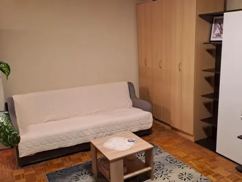 Izdavanje, jednosoban stan, 30m², Liman 3, Novi Sad Sve Podlokacije - image 7