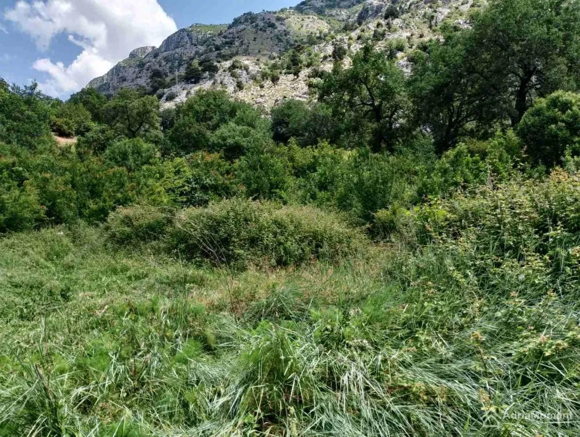 Prodaja, plac, 1739m², Kotor, Crna Gora