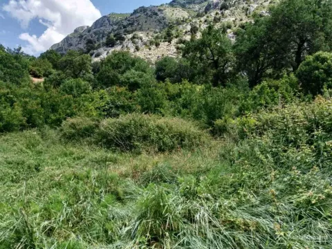 Prodaja, plac, 1700m², Kotor, Crna Gora - image 3