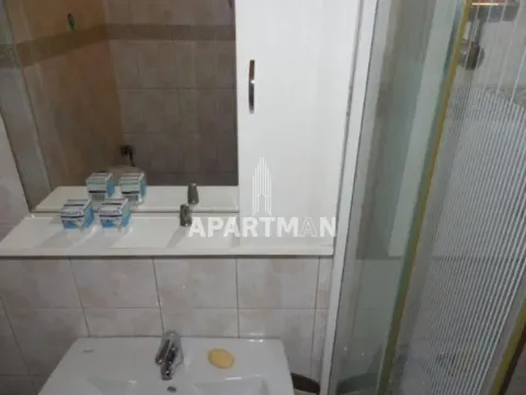 Izdavanje, jednosoban stan, 25m², Skadarlija, Beograd - image 5