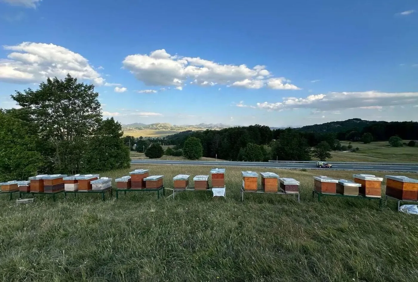 Prodaja, plac, 950m², Žabljak, Crna Gora